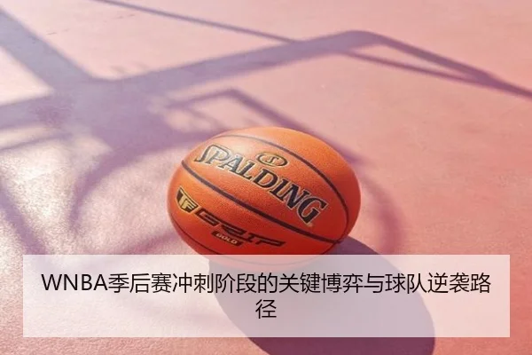 WNBA季后赛冲刺阶段的关键博弈与球队逆袭路径