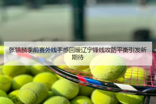 张镇麟季前赛外线手感回暖辽宁锋线攻防平衡引发新期待